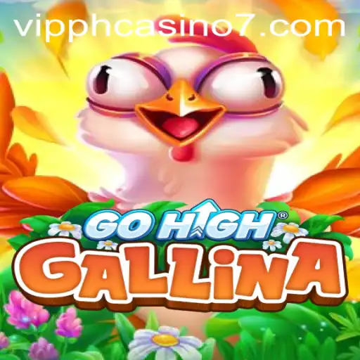 Discover the Thrilling World of GoHighGallina And Its Related Keywords